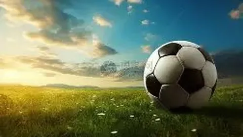 金贝娱乐 产品 045629 rvl