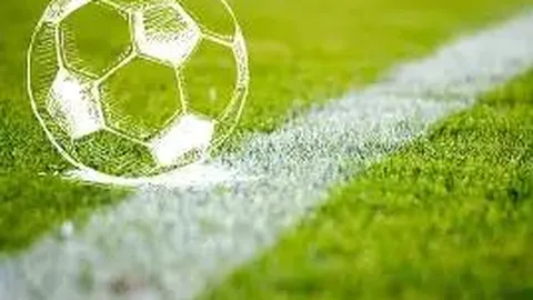 金贝娱乐 产品 045714 20x