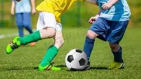 金贝娱乐 产品 115113 xyl