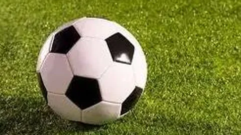 金贝娱乐 资讯 093005 onw