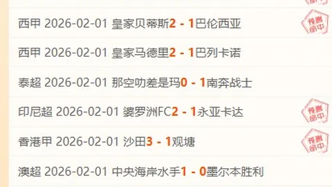 “辟谣：利兹联签约霍伊伦传闻无根据，球员意向续约曼联”