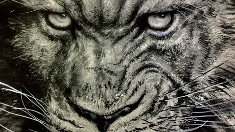 勒沃库森二球击败达姆施塔特，特拉梅梅两球建功